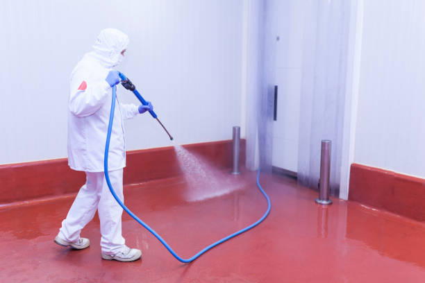 Best Deck and Patio Pressure Washing in Ponchatou, LA